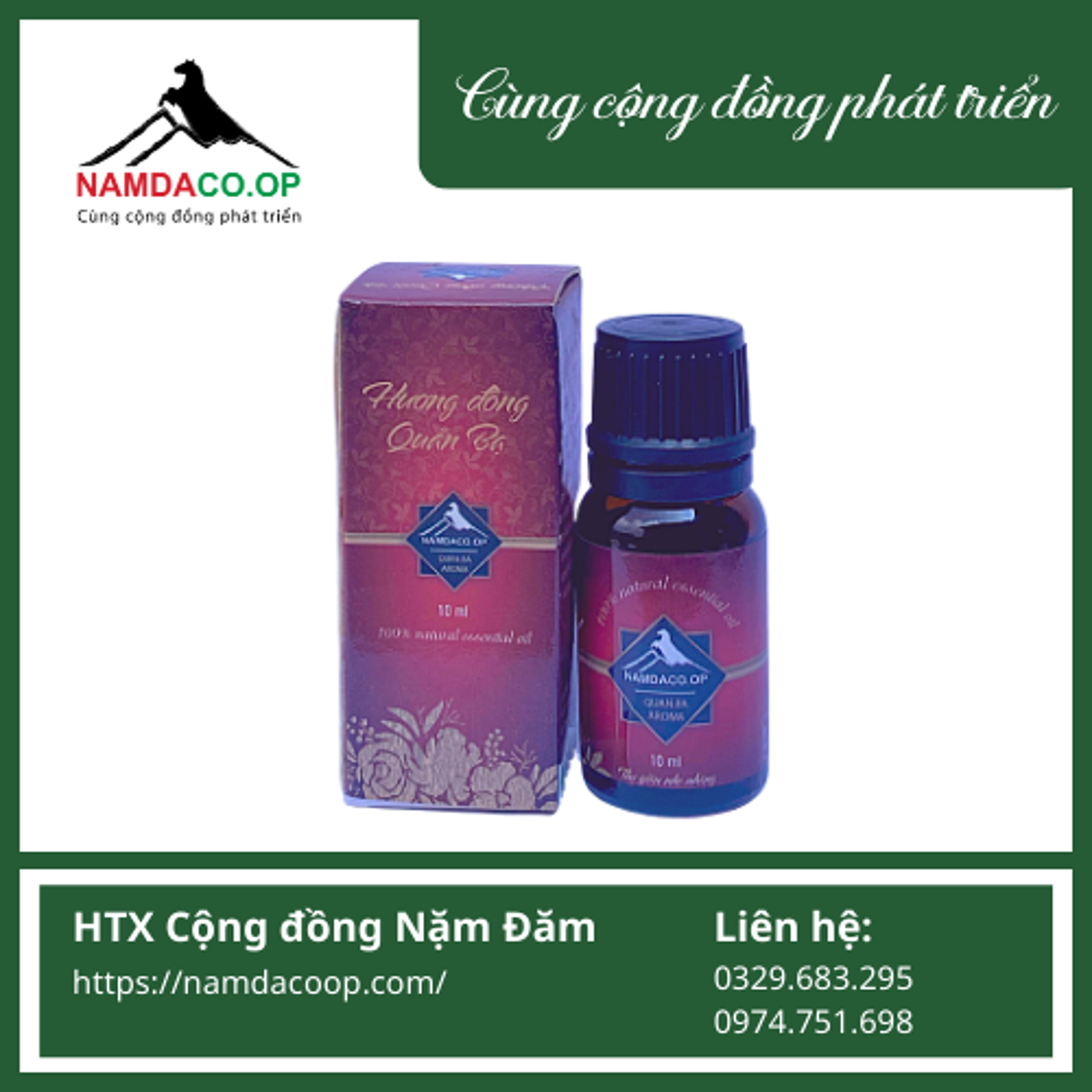 Tinh dầu hương đồng Quản Bạ